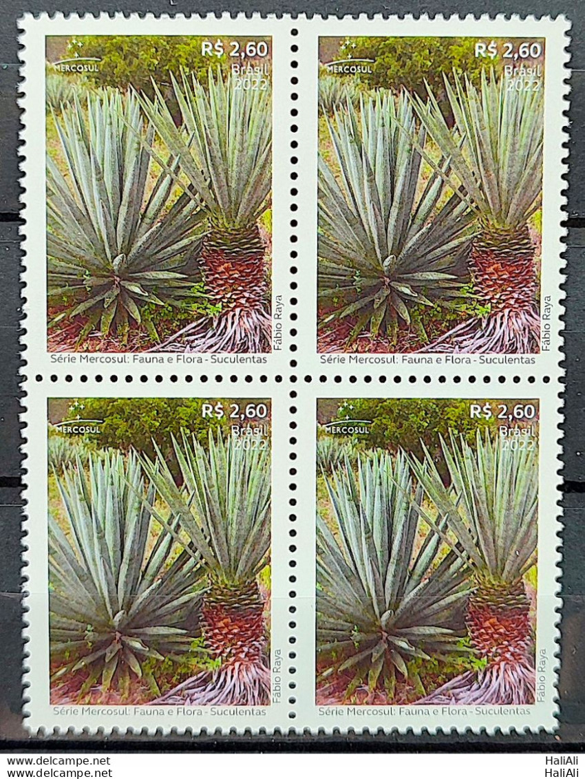 C 4073 Brazil Stamp Mercosul Series Fauna And Flora Suculents 2022 Block Of 4 - Ungebraucht