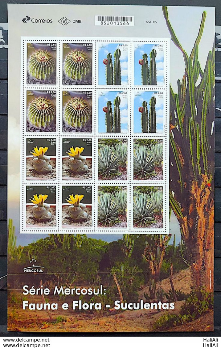 C 4070 Brazil Stamp Mercosul Series Fauna And Flora Suculents 2022 Sheet - Ungebraucht