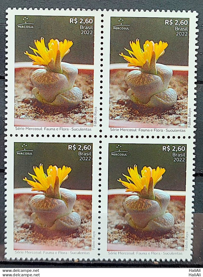C 4072 Brazil Stamp Mercosul Series Fauna And Flora Suculents 2022 Block Of 4 - Unused Stamps