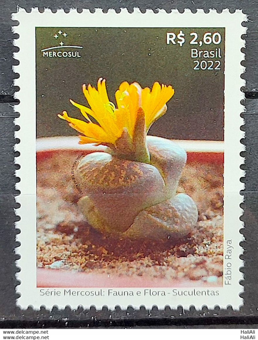 C 4072 Brazil Stamp Mercosul Series Fauna And Flora Suculents 2022 - Ongebruikt