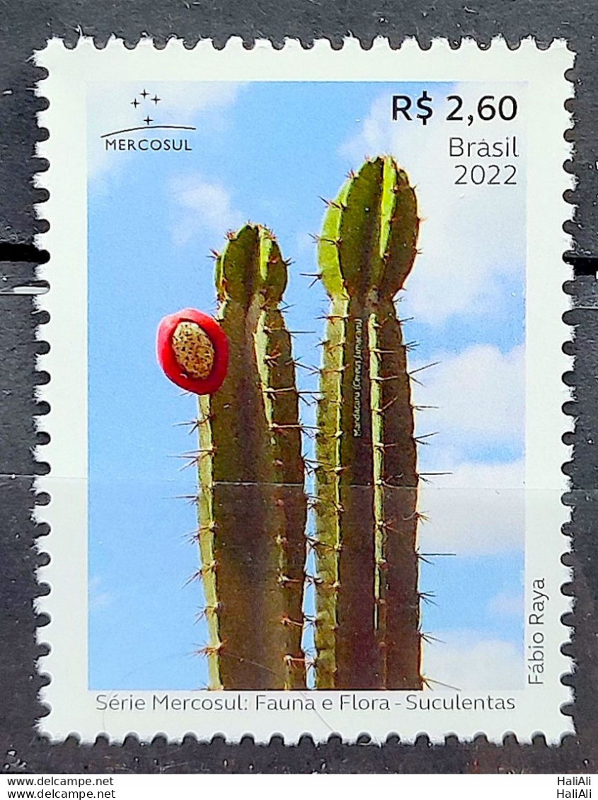 C 4071 Brazil Stamp Mercosul Series Fauna And Flora Suculents 2022 - Ongebruikt
