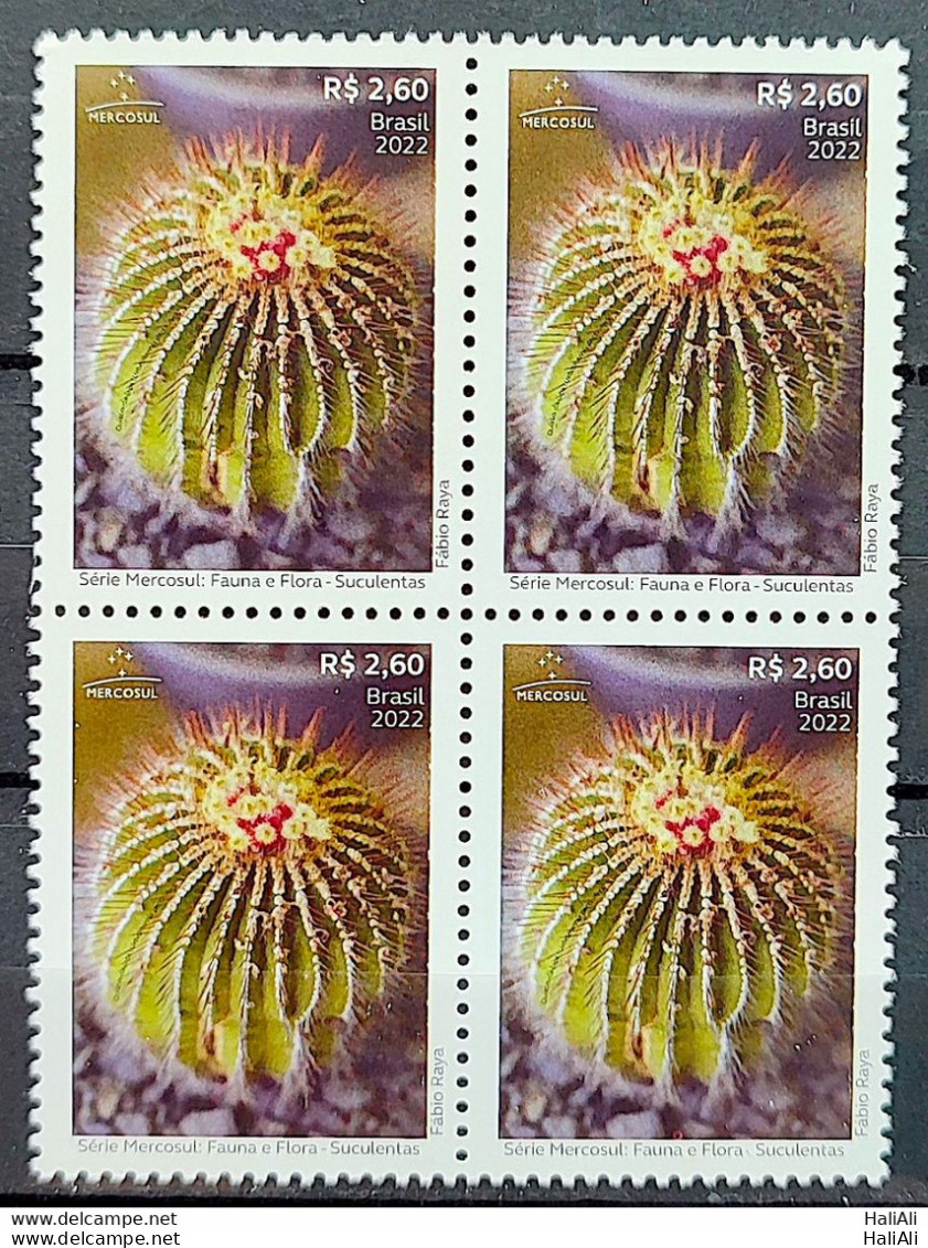 C 4070 Brazil Stamp Mercosul Series Fauna And Flora Suculents 2022 Block Of 4 - Ungebraucht
