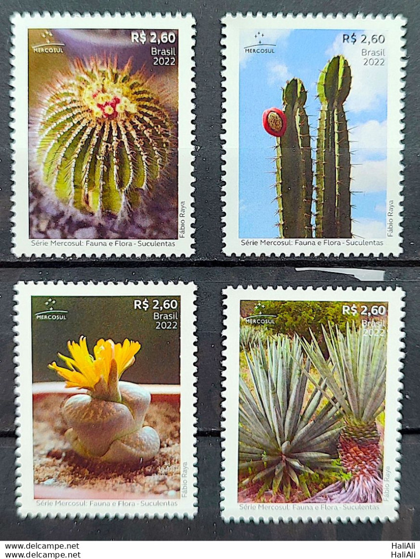 C 4070 Brazil Stamp Mercosul Series Fauna And Flora Suculents 2022 Complete Series - Ungebraucht