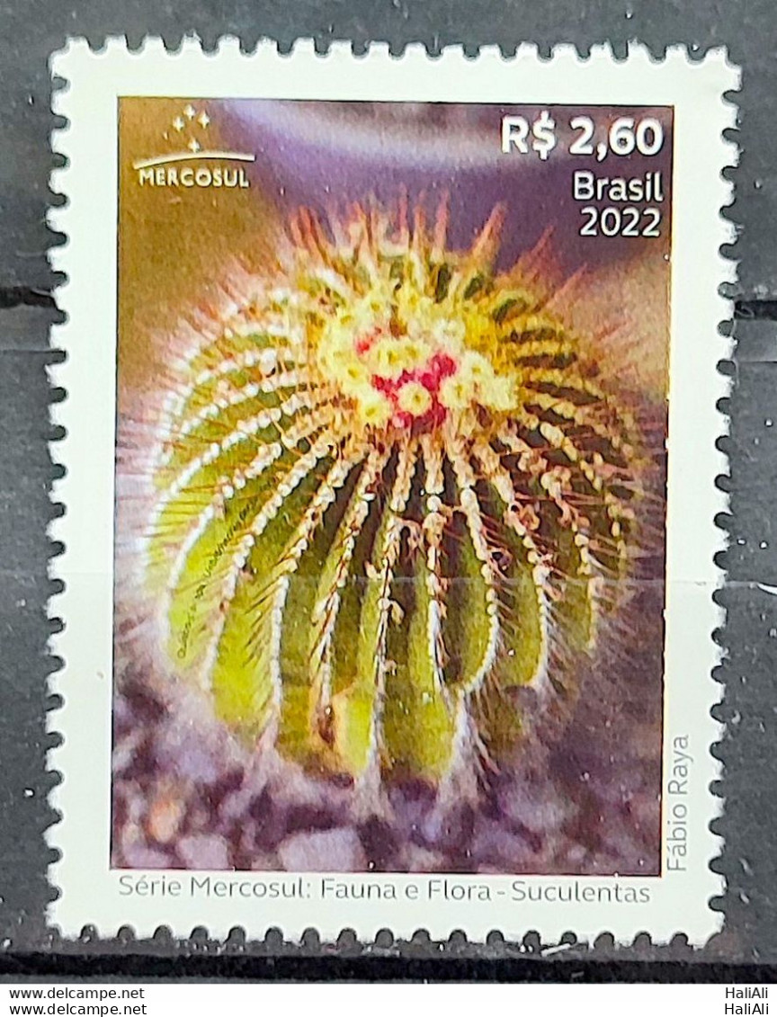 C 4070 Brazil Stamp Mercosul Series Fauna And Flora Suculents 2022 - Nuovi