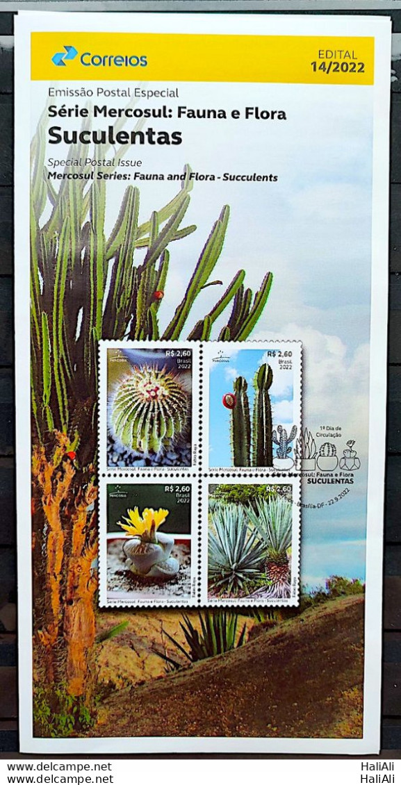 Brochure Brazil Edital 2022 14 Mercosul Series Fauna And Flora Suculents Without Stamp - Briefe U. Dokumente