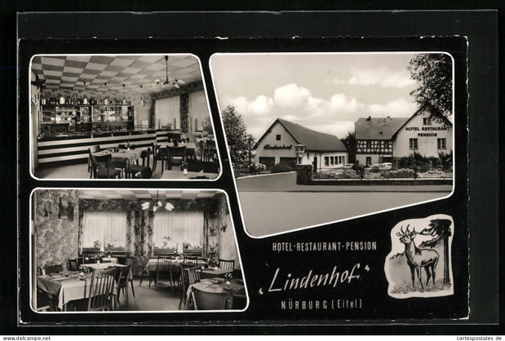 AK Nürburg / Eifel, Hotel-Restaurant-Pension Lindenhof, Aussen- Und Innenansicht  - Sonstige & Ohne Zuordnung