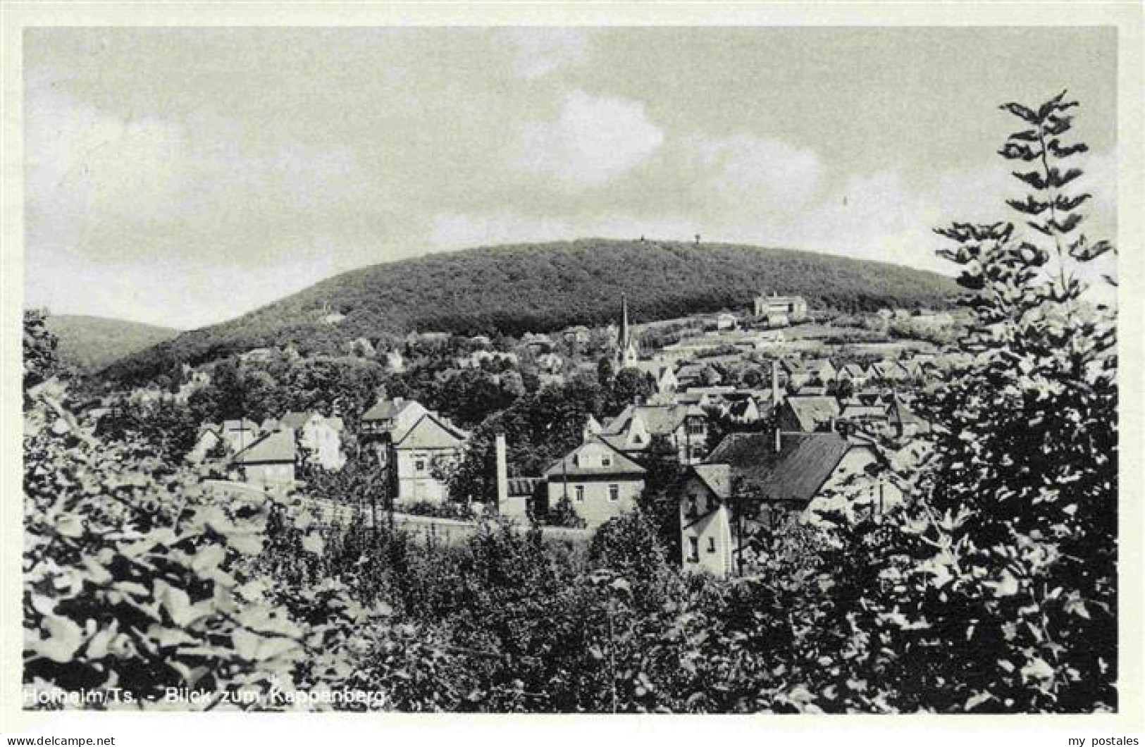 73972635 Hofheim_Taunus Panorama Blick Zum Kappenberg - Sonstige & Ohne Zuordnung