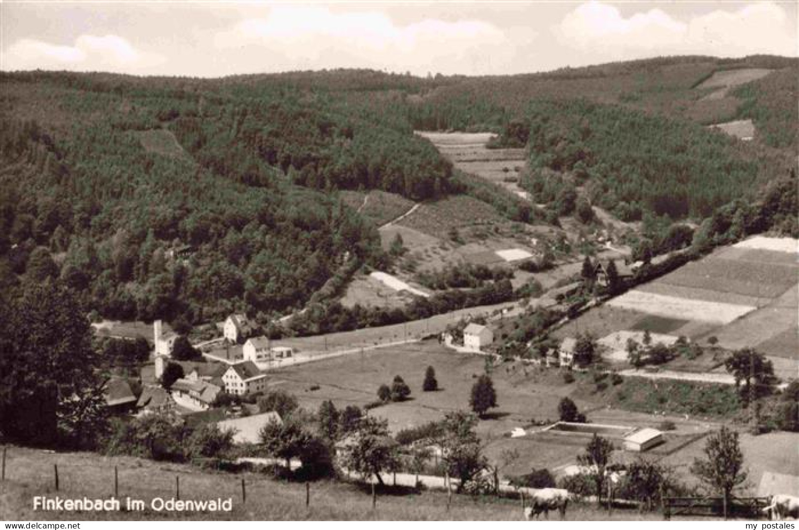 73972626 Finkenbach_Odenwald_Hessen Panorama Gasthaus Pension Zur Traube - Sonstige & Ohne Zuordnung