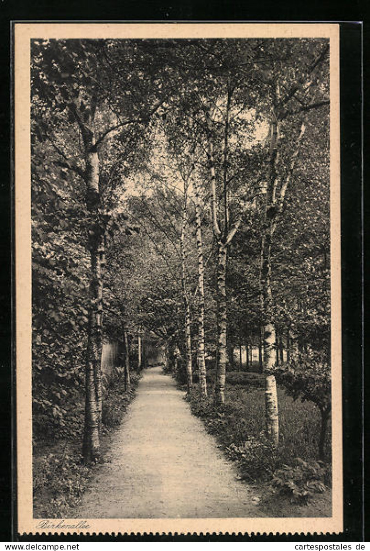 AK Speyer, Kloster St. Magdalena, Birkenalle Am Pansionat  - Speyer