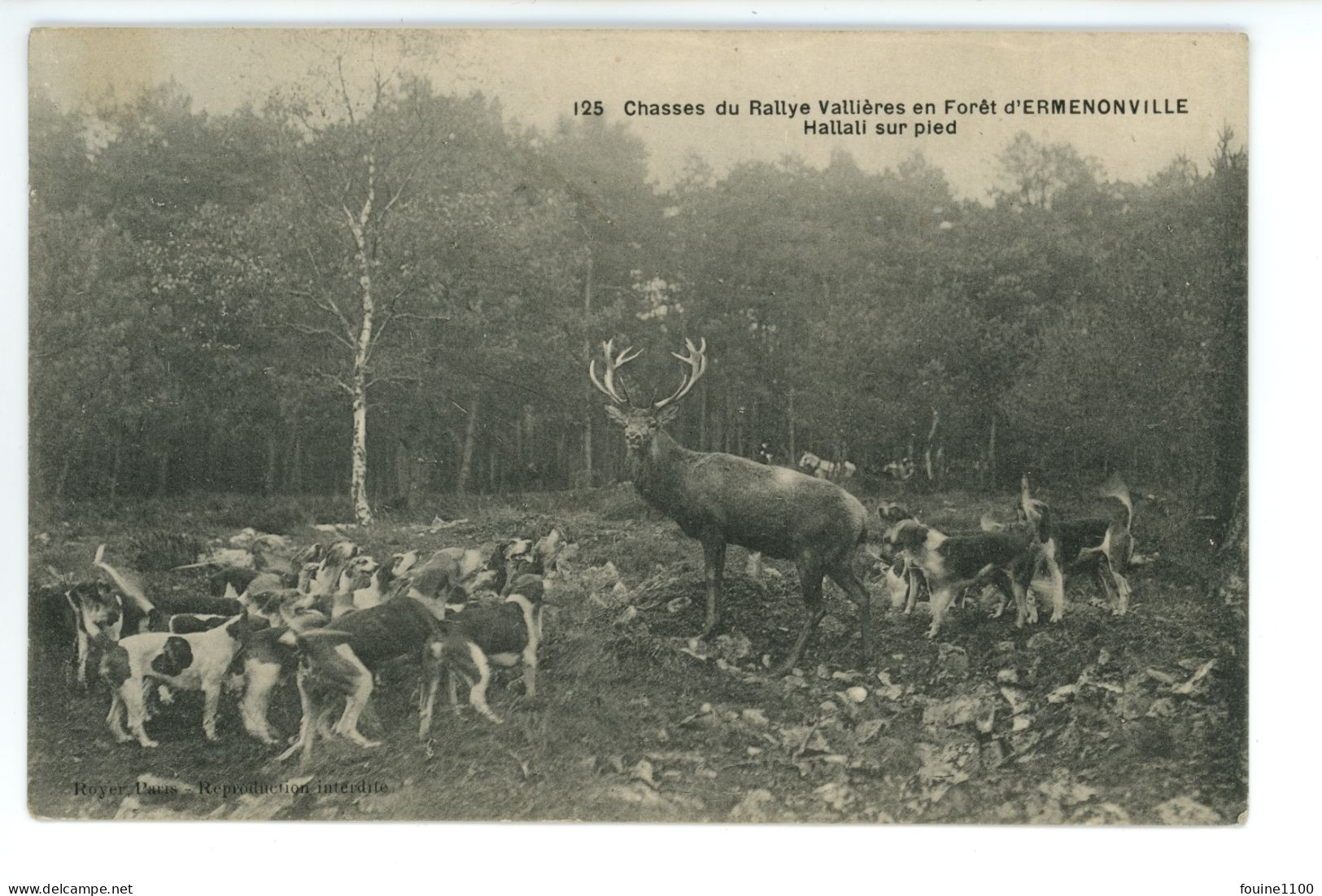 ERMENONVILLE Chasse à Courre - Chasses Du Rallye Vallièresen Forêt Hallali Sur Pied ( Cerf ) - Ermenonville