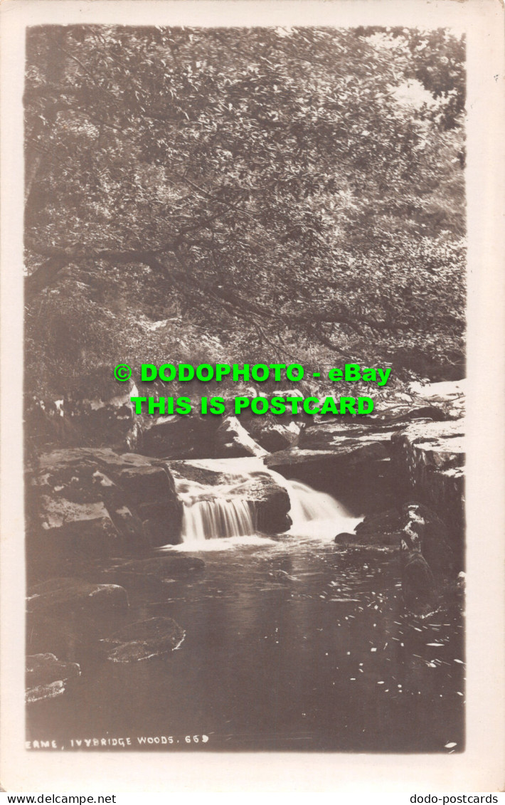 R495585 Ivybridge Woods. Postcard - World