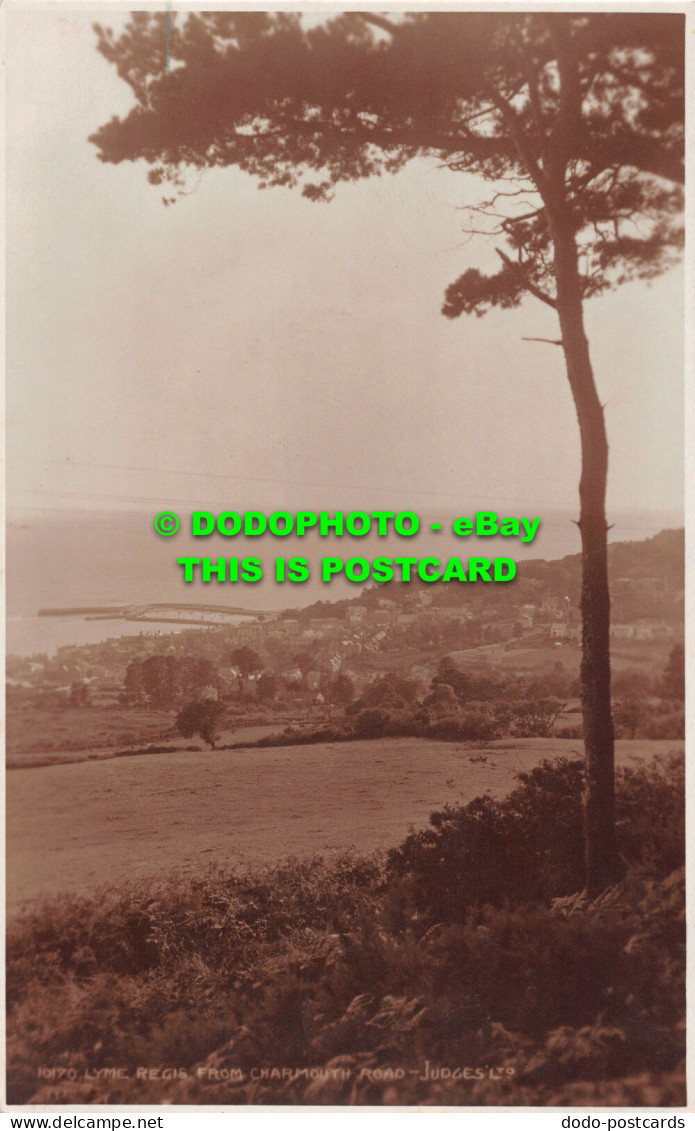 R495591 Lyme Regis From Charmouth Road. Judges. 10170 - World