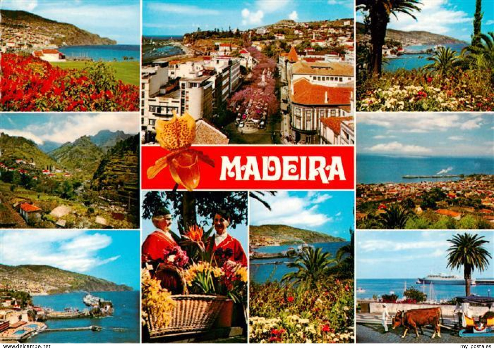 73899112 Madeira  Portugal As Melhoras Vistas Da Madeira  - Other & Unclassified