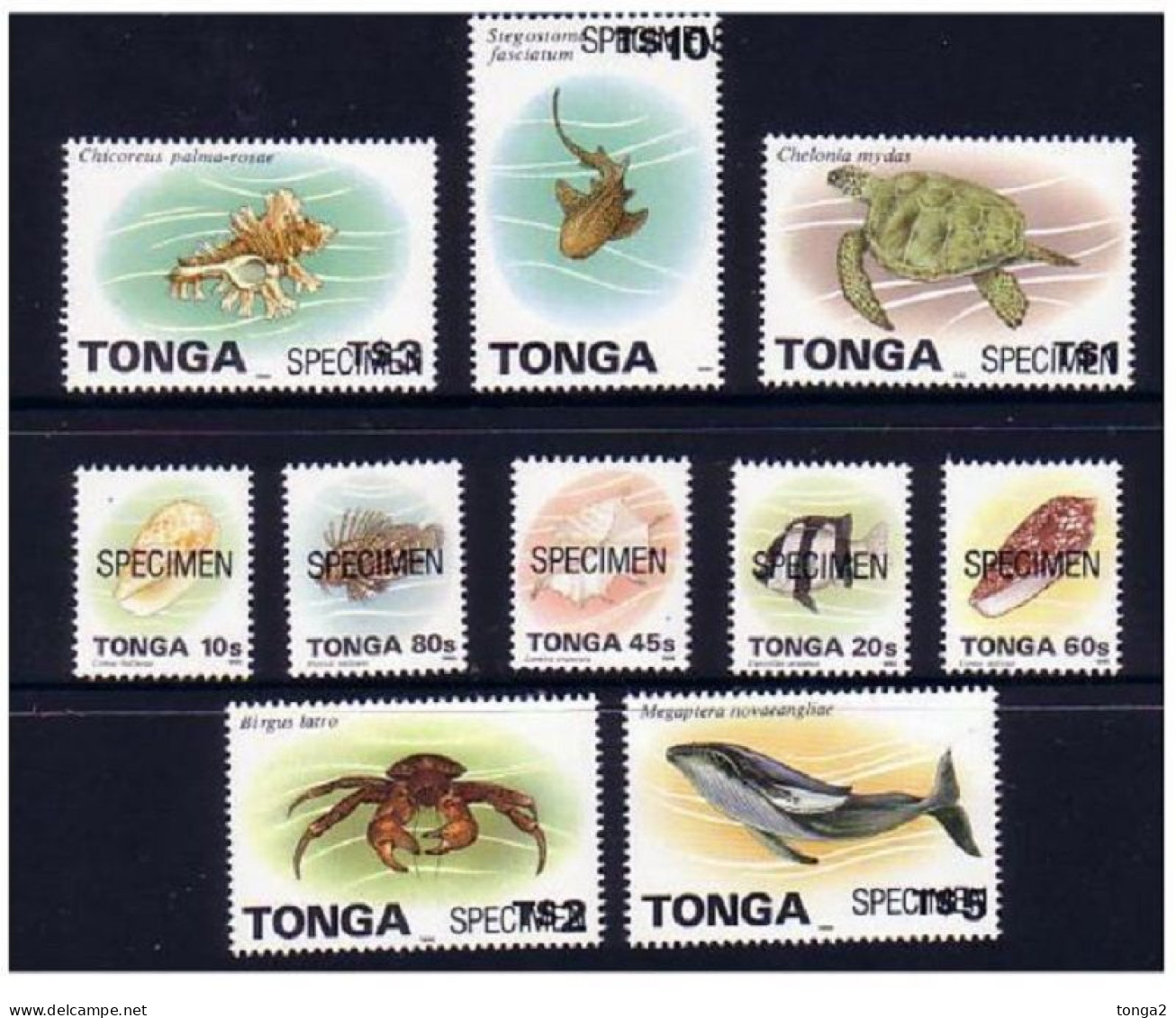 Tonga 1995/6 Marine Life Complete Set Of 10 To $5 Whale & $10 Shark Specimens - Vie Marine