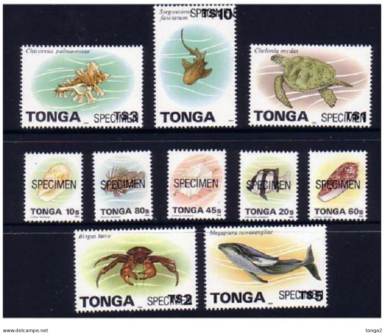 Tonga 1995/6 Marine Life Complete Set Of 10 To $5 Whale & $10 Shark Specimens - Vita Acquatica