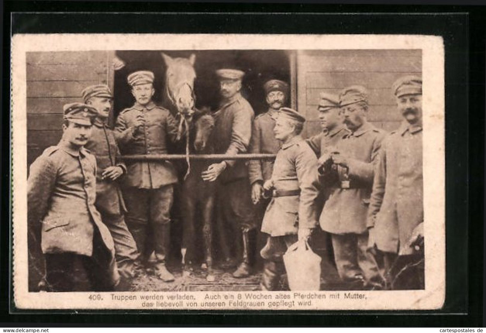 AK Soldaten Versorgen Ein Pferd Mit Fohlen, Soldatenliebe  - Weltkrieg 1914-18