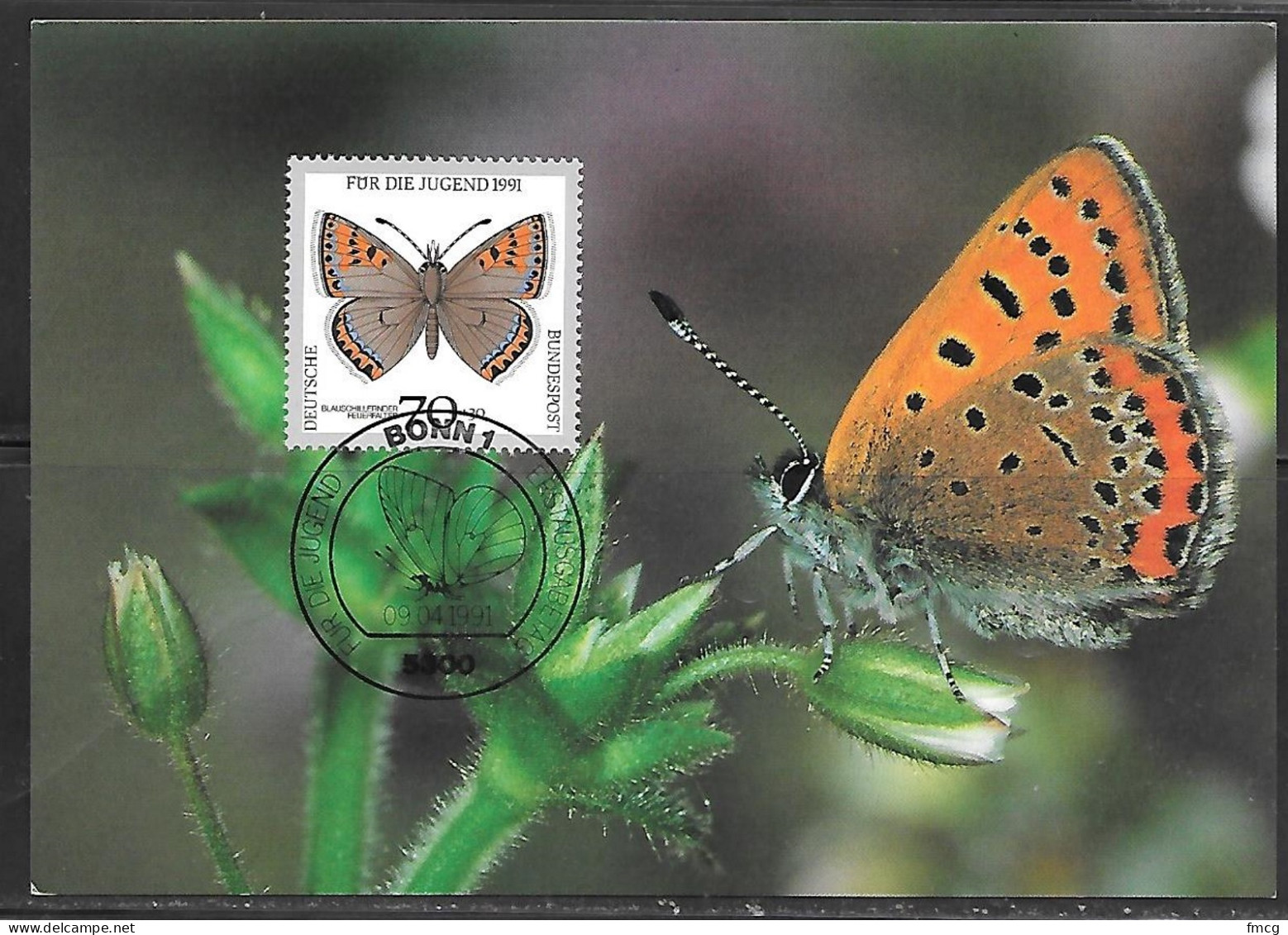 1991 Germany 70+30 Butterfly Stamp Maximum Card - Vlinders