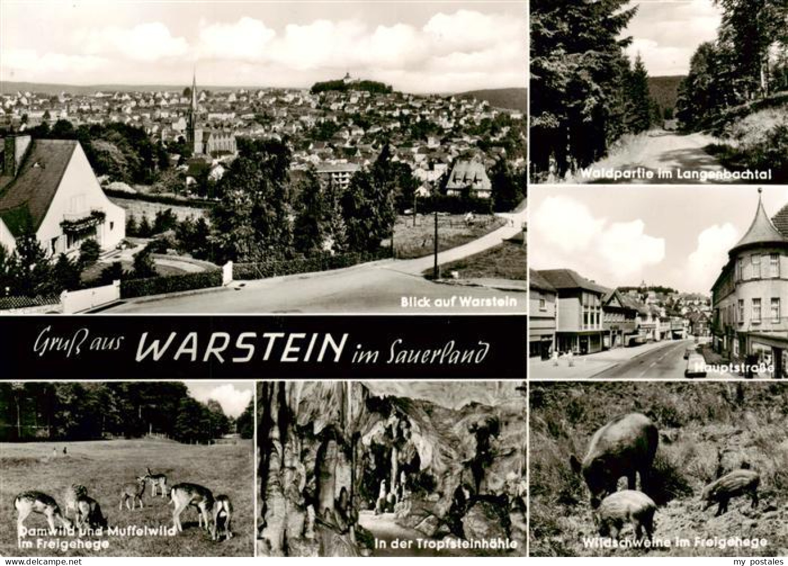 73893977 Warstein Ortsansicht Waldpartie Hauptstrasse Dam Und Muffelwild Im Frei - Warstein