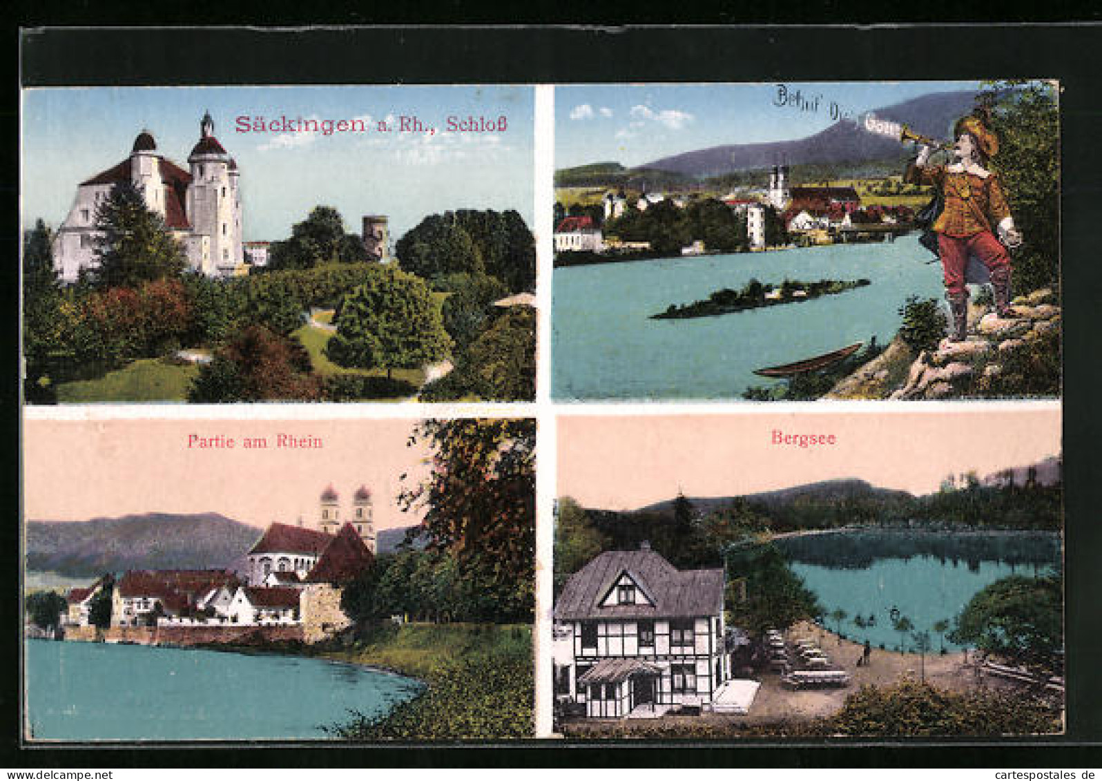 AK Säckingen Am Rhein, Am Schloss, Bergsee, Am Rheinufer, Ortspanorama  - Bad Saeckingen