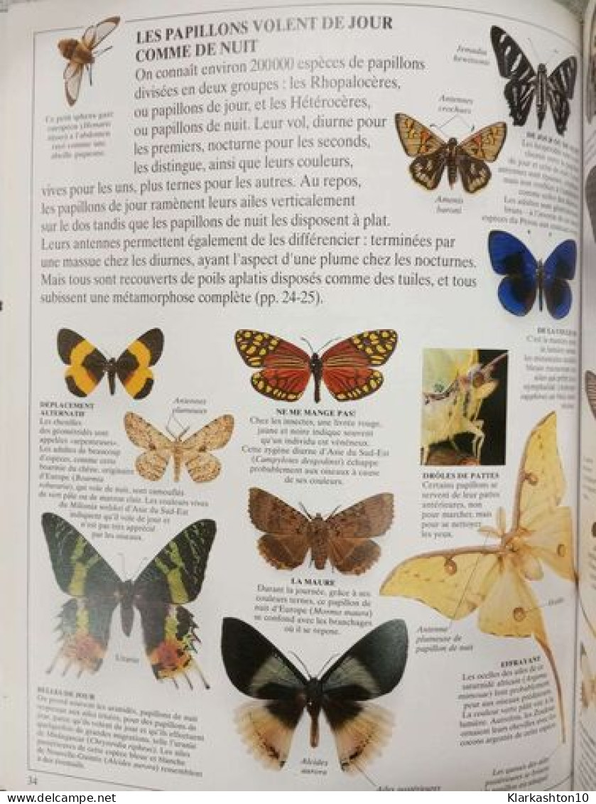 Le Peuple Des Insectes - Other & Unclassified