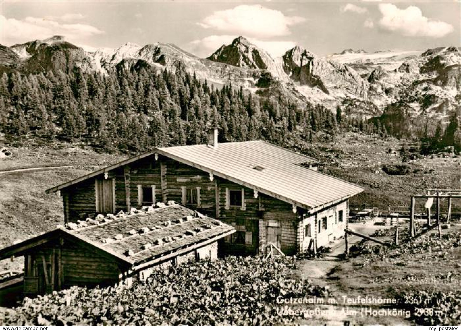 73893433 Gotzenalm 1740m Berchtesgaden Mit Teufelshoerner Uebergossene Alm Hochk - Berchtesgaden