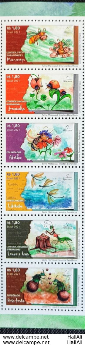 C 4029 Brazil Stamp Beneficial Insects Bee Dragonfly Mantis Scroll Dust Microwaspa Ladybug Mercosul 2021 Complete Series - Unused Stamps