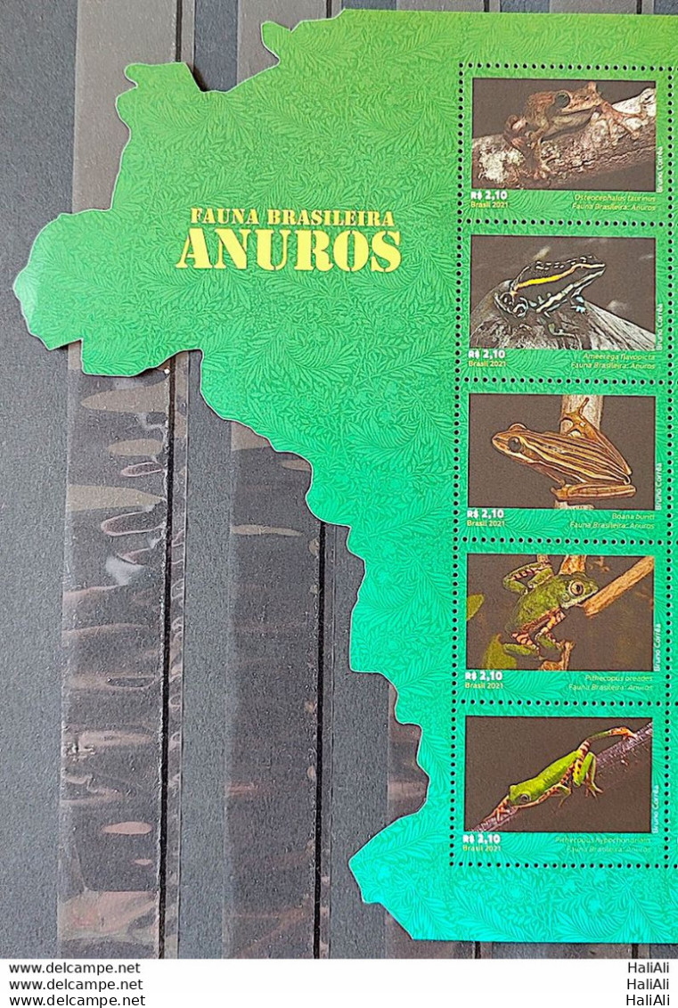 C 4005 Brazil Stamp Fauna Anuros, Frog, Amphibio, 2021, With Vignette - Ungebraucht