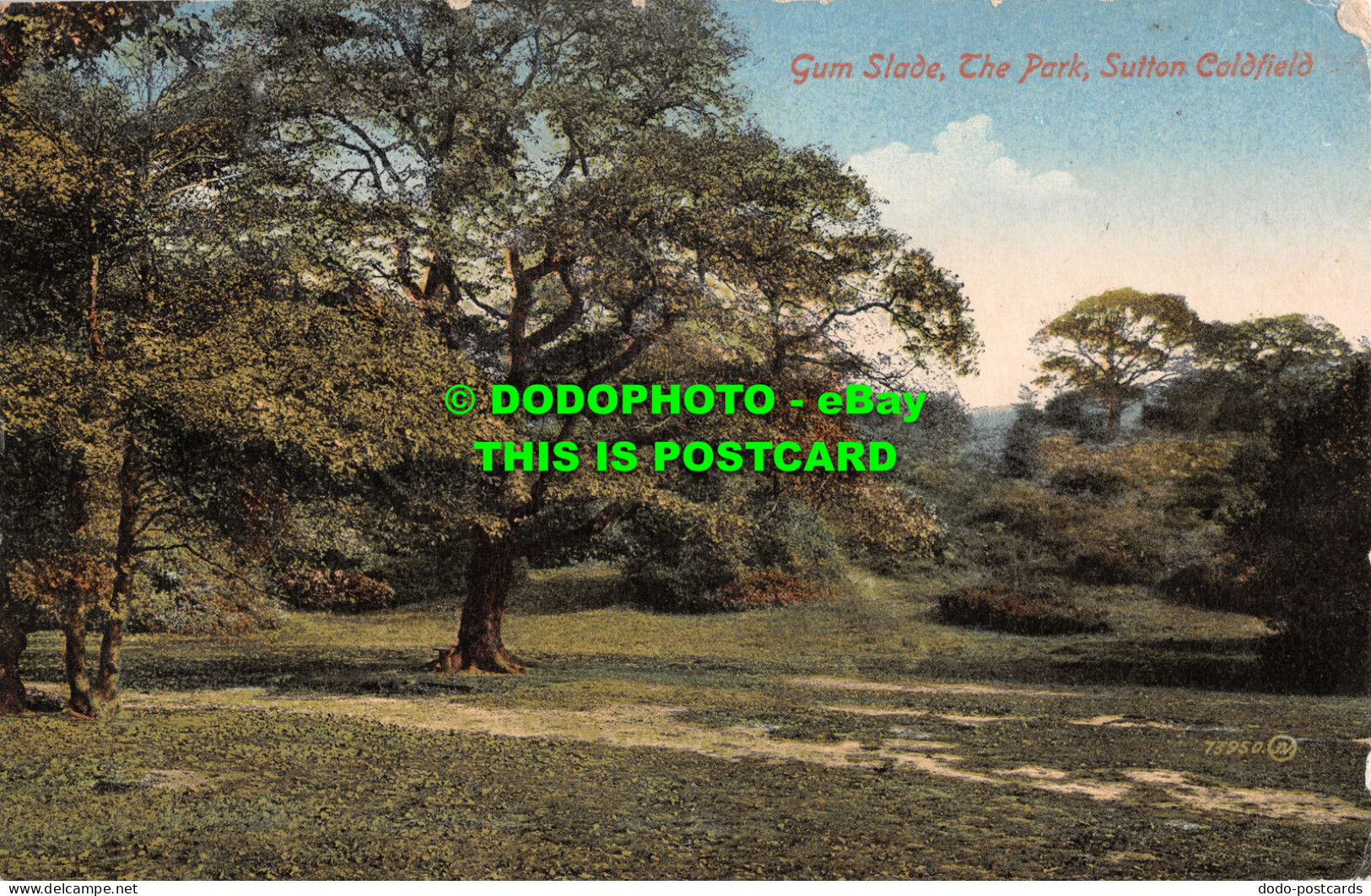 R495988 Sutton Coldfield. Gum Slade. The Park. Valentine Series - Monde