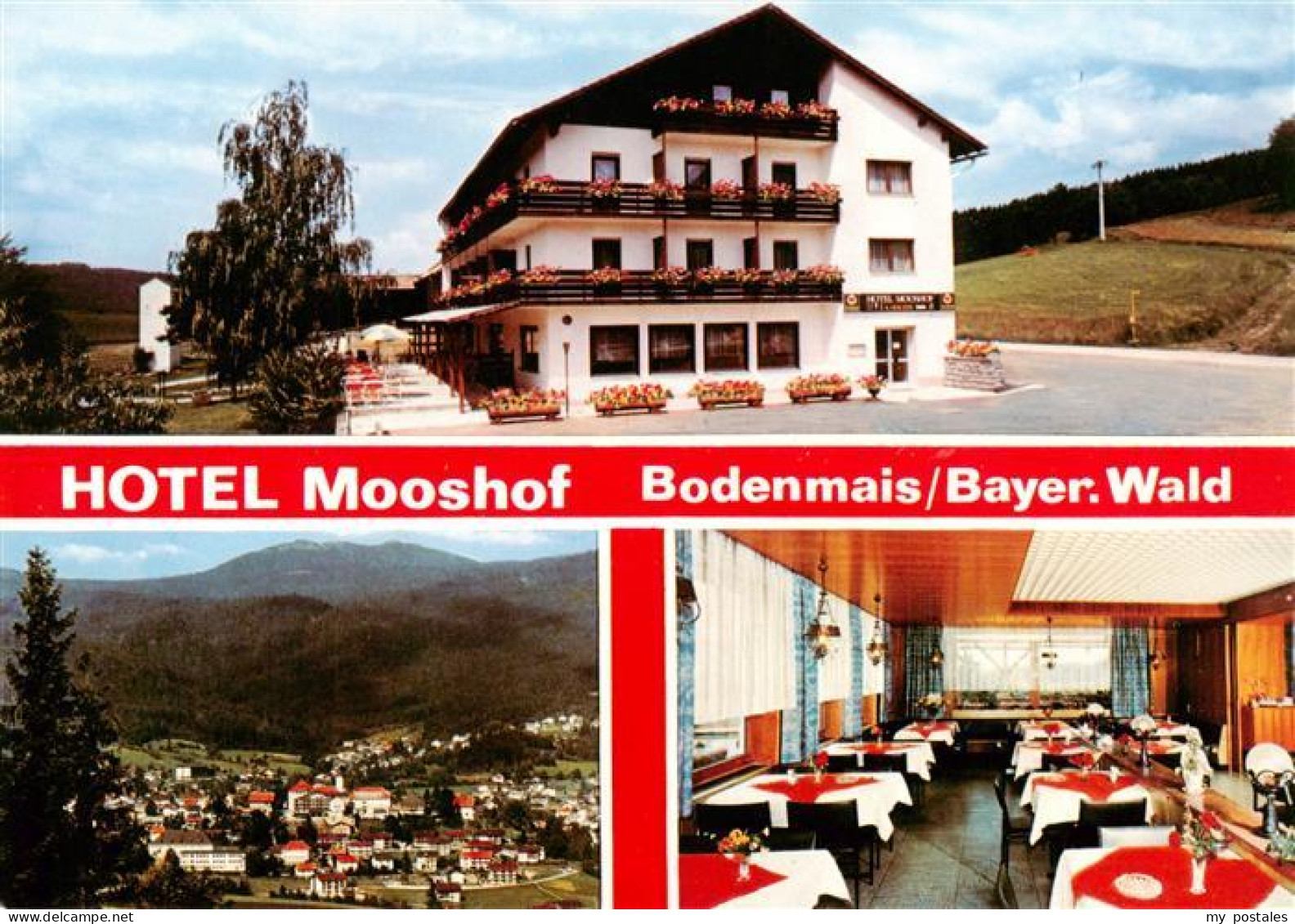 73892992 Bodenmais Hotel Mooshof Gastraum Panorama Bodenmais - Bodenmais