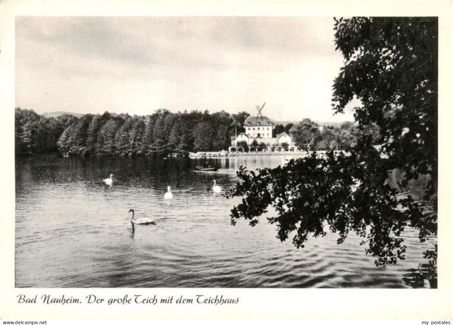 73892780 Bad Nauheim Der Grosse Teich Mit Dem Teichhaus Bad Nauheim - Bad Nauheim