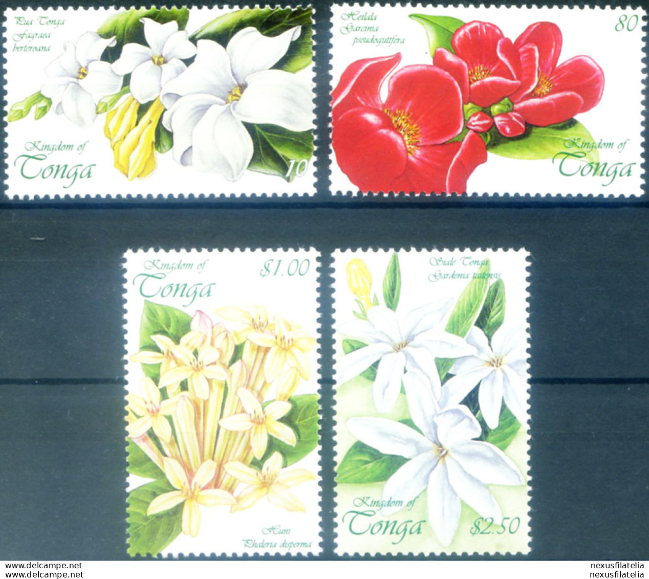Fiori. Orchidee 1999. - Tonga (1970-...)
