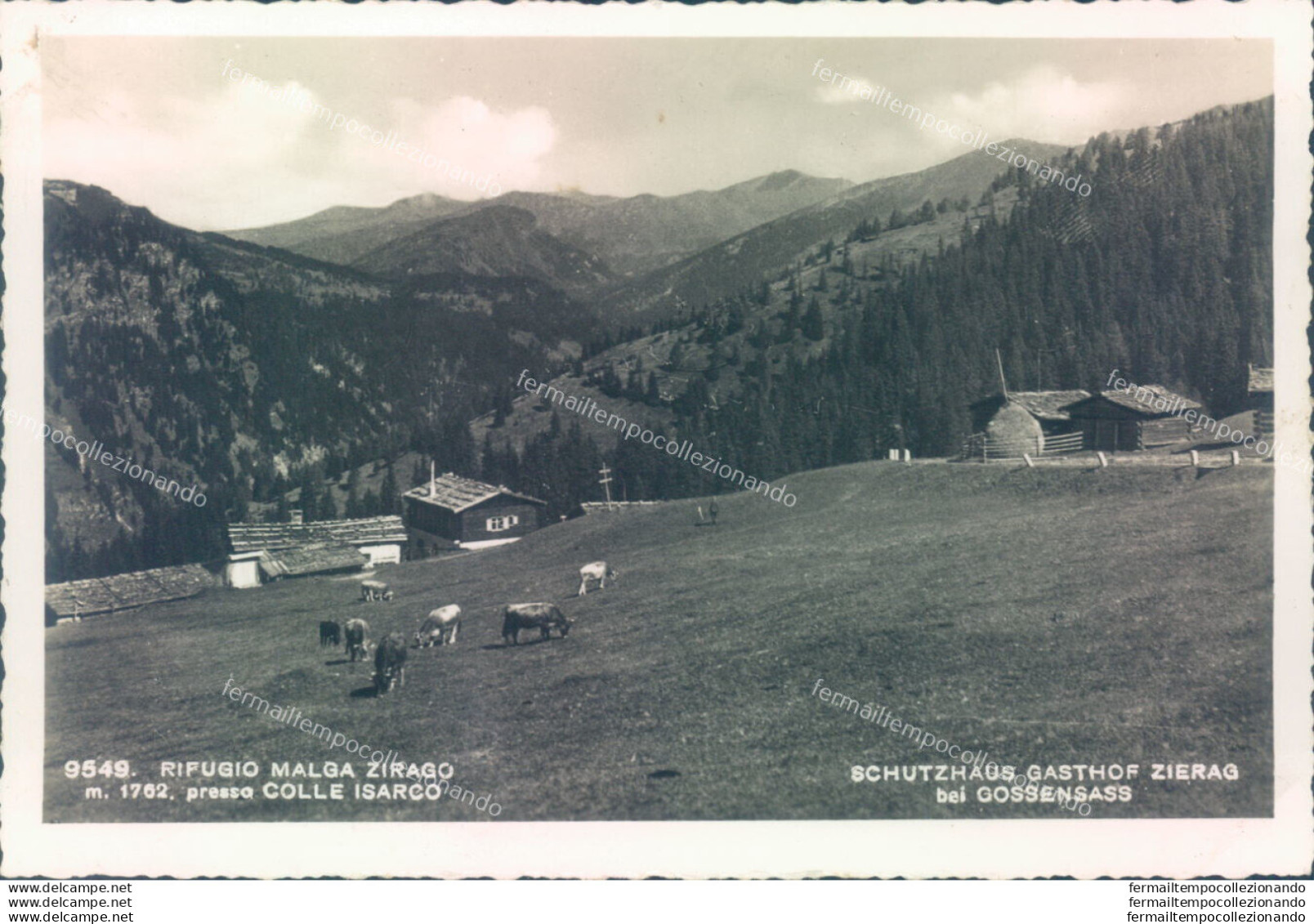 Ad192 Cartolina Rifugio Malga Zirago Provincia Di Bolzano - Bolzano (Bozen)