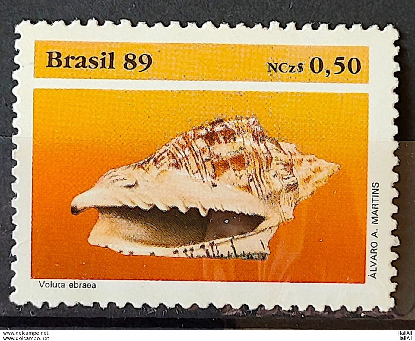 C 1645 Brazil Stamp Brazilian Fauna Mollusk 1989 - Neufs