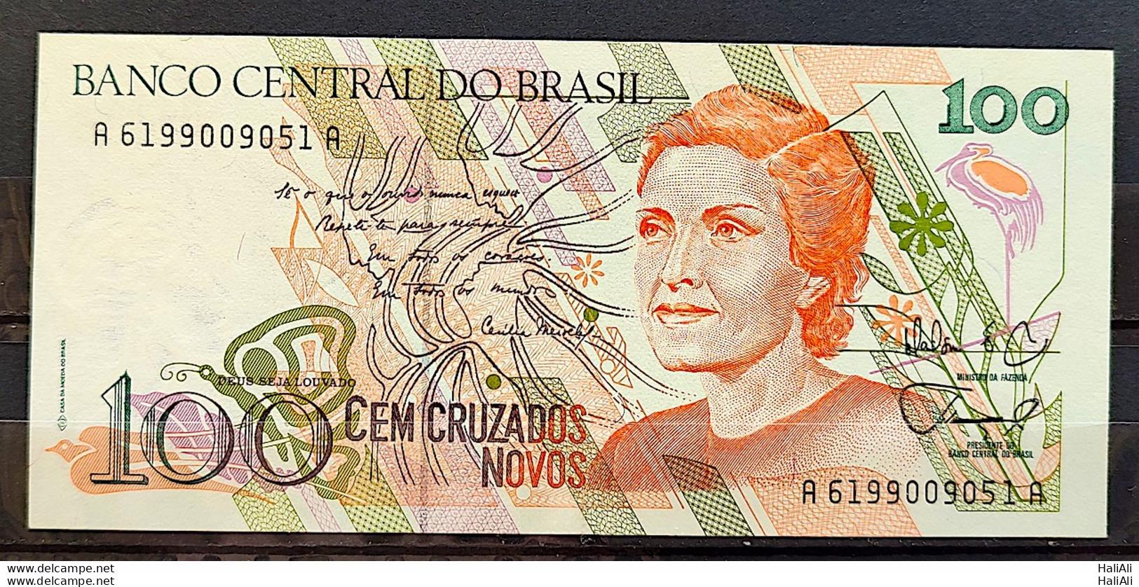 Banknote C 206 100 Cruzados Cecília Meireles Literature 1989 UNC 9051 - Brazilië