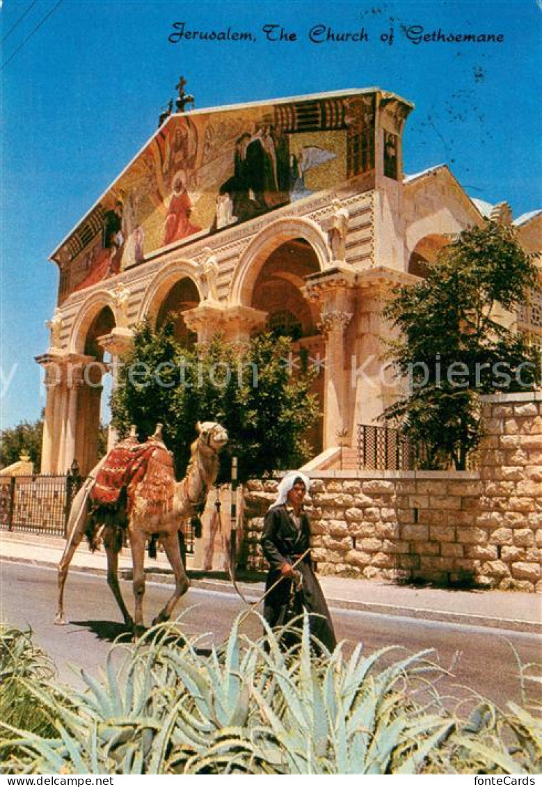 73729092 Jerusalem Yerushalayim Church Of Gethsemane Kamel Jerusalem Yerushalayi - Israel