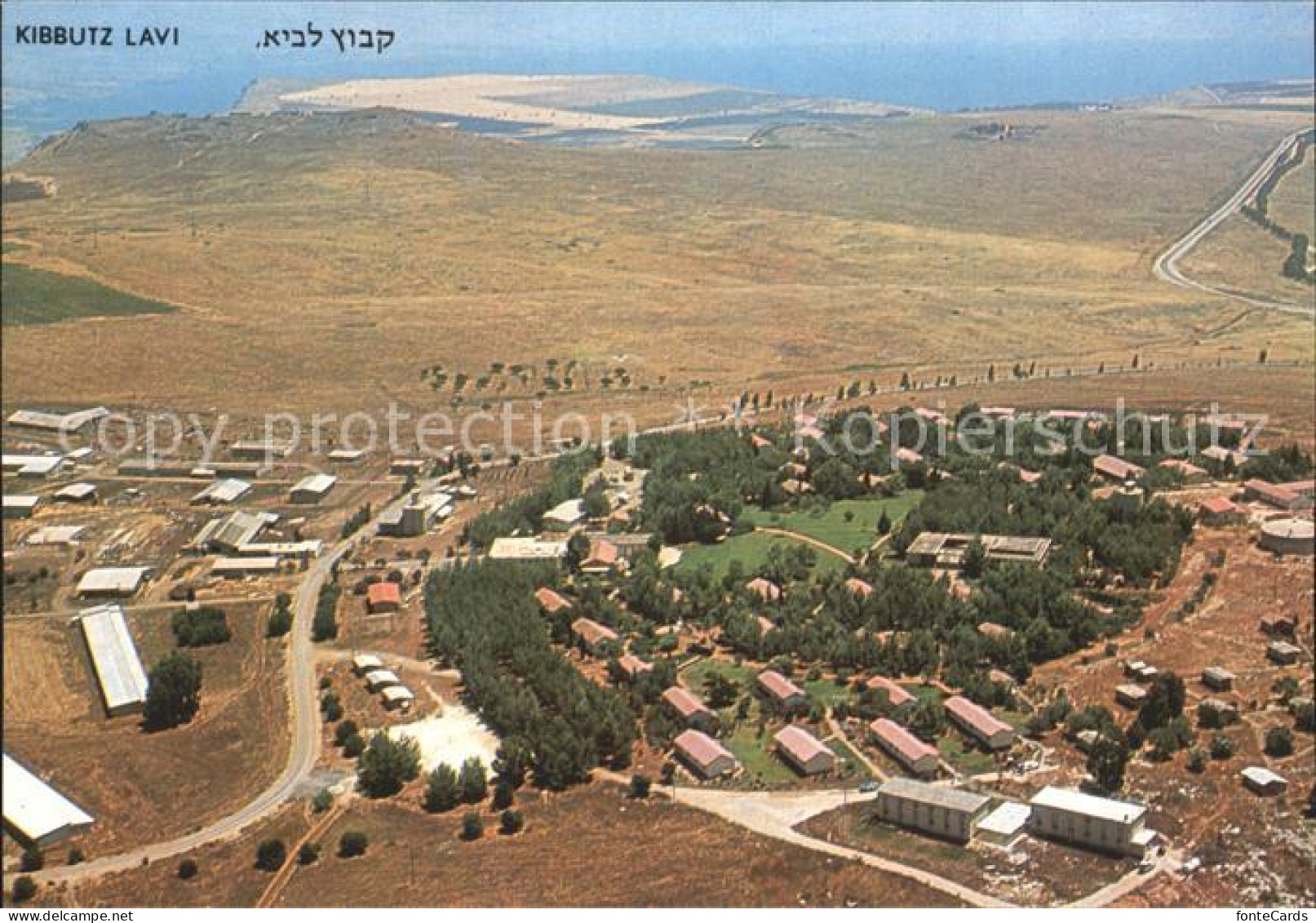 72280449 Lavi Kibbutz Lavi Fliegeraufnahme  - Israel