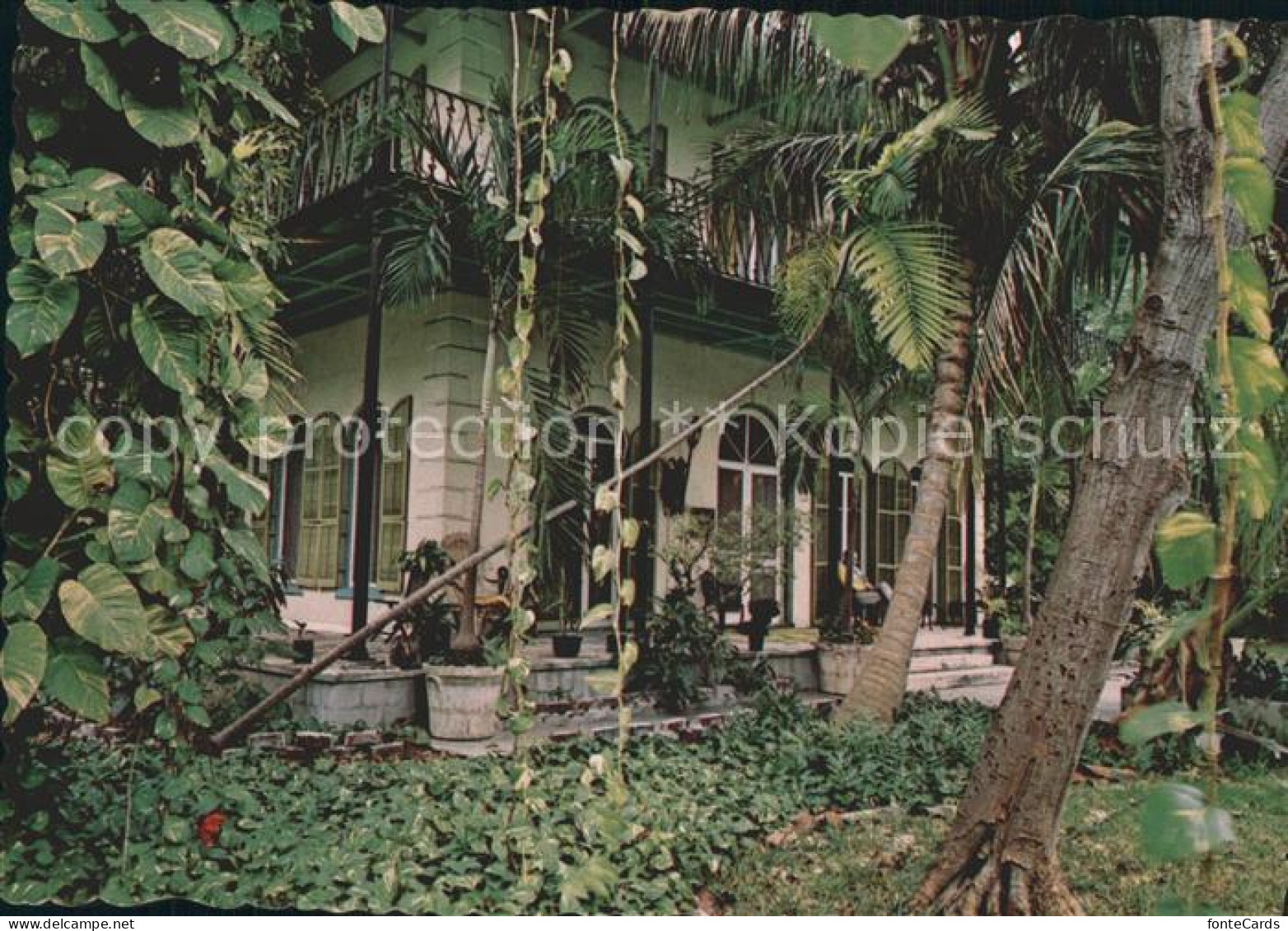 72279662 Key_West Ernest Hemingway House - Altri & Non Classificati