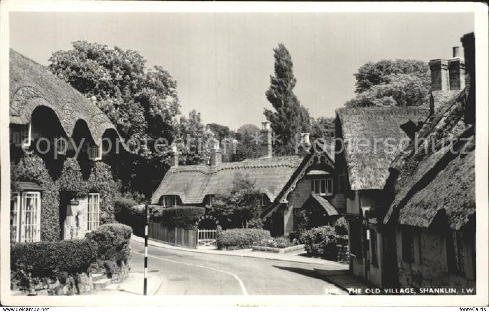 72278559 Shanklin Old Village Isle Of Wight - Autres & Non Classés