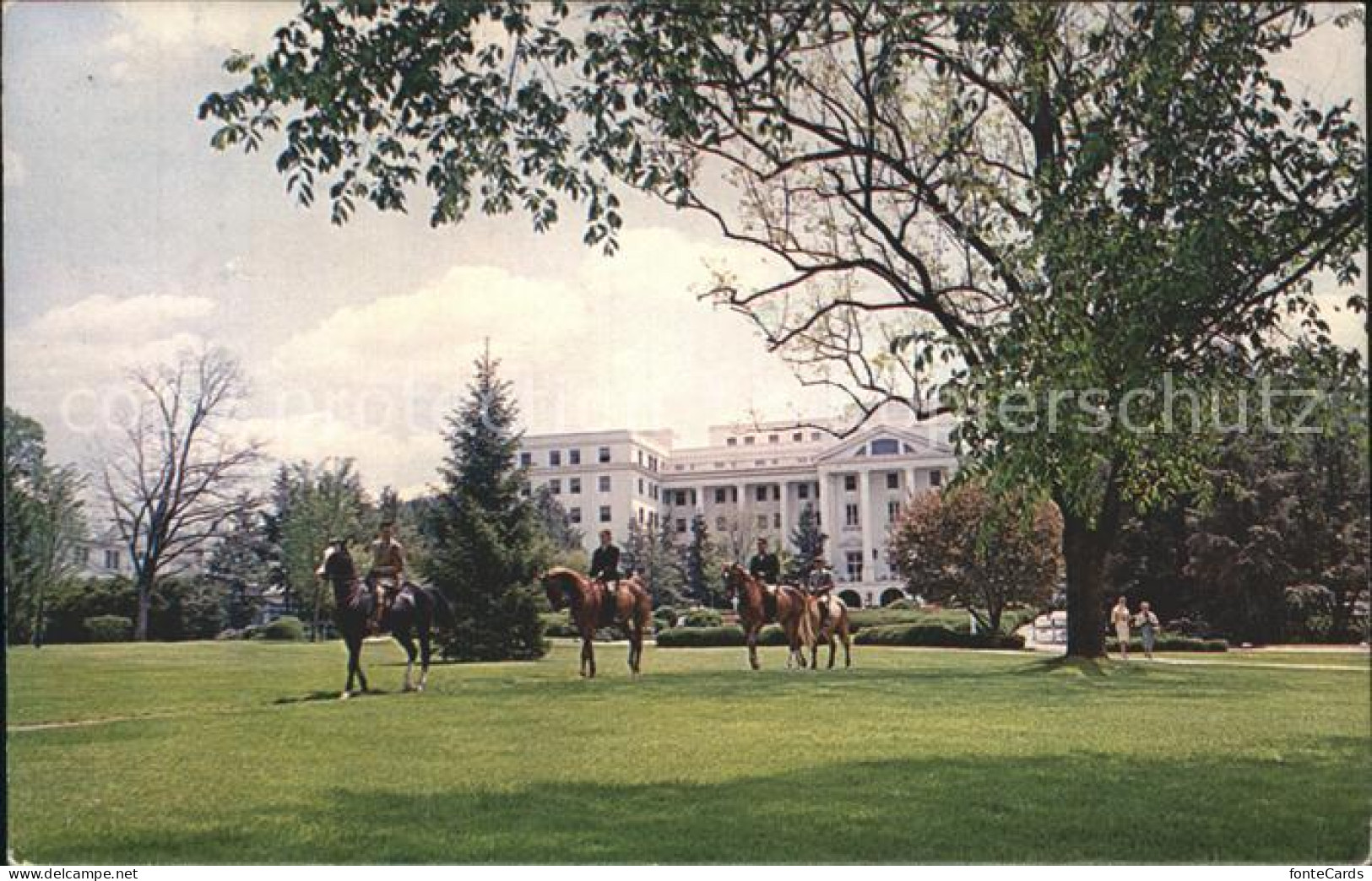 72278230 White_Sulphur_Springs_West_Virginia Greenbier Park Hotel Horses - Autres & Non Classés
