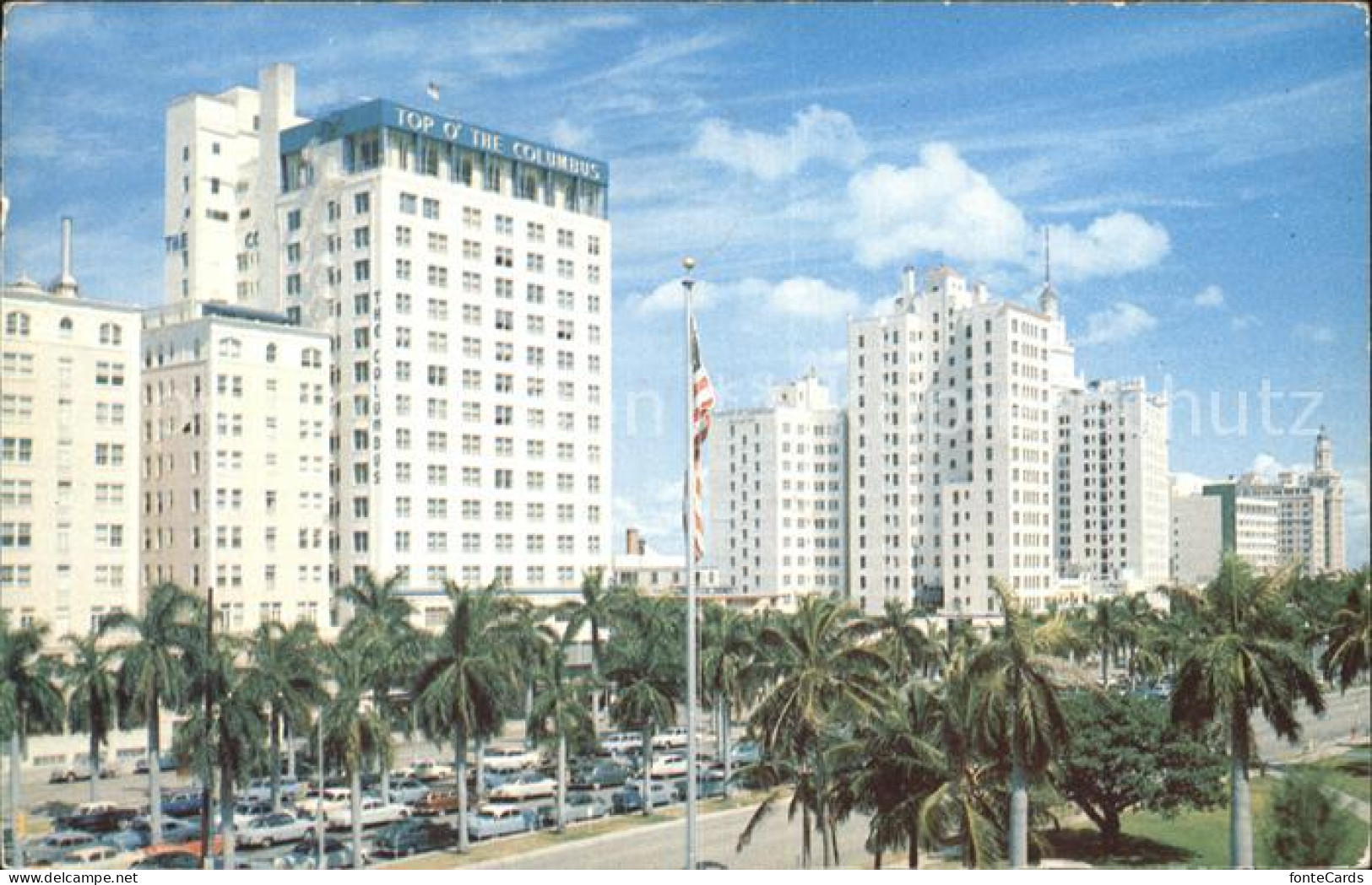 72272285 Miami_Florida Palm Lined Biscayne Boulevard - Autres & Non Classés