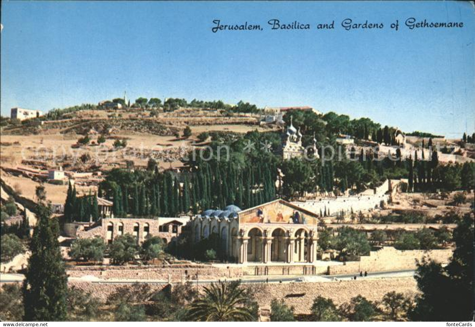 72268504 Jerusalem Yerushalayim Church Gethsemane  - Israël