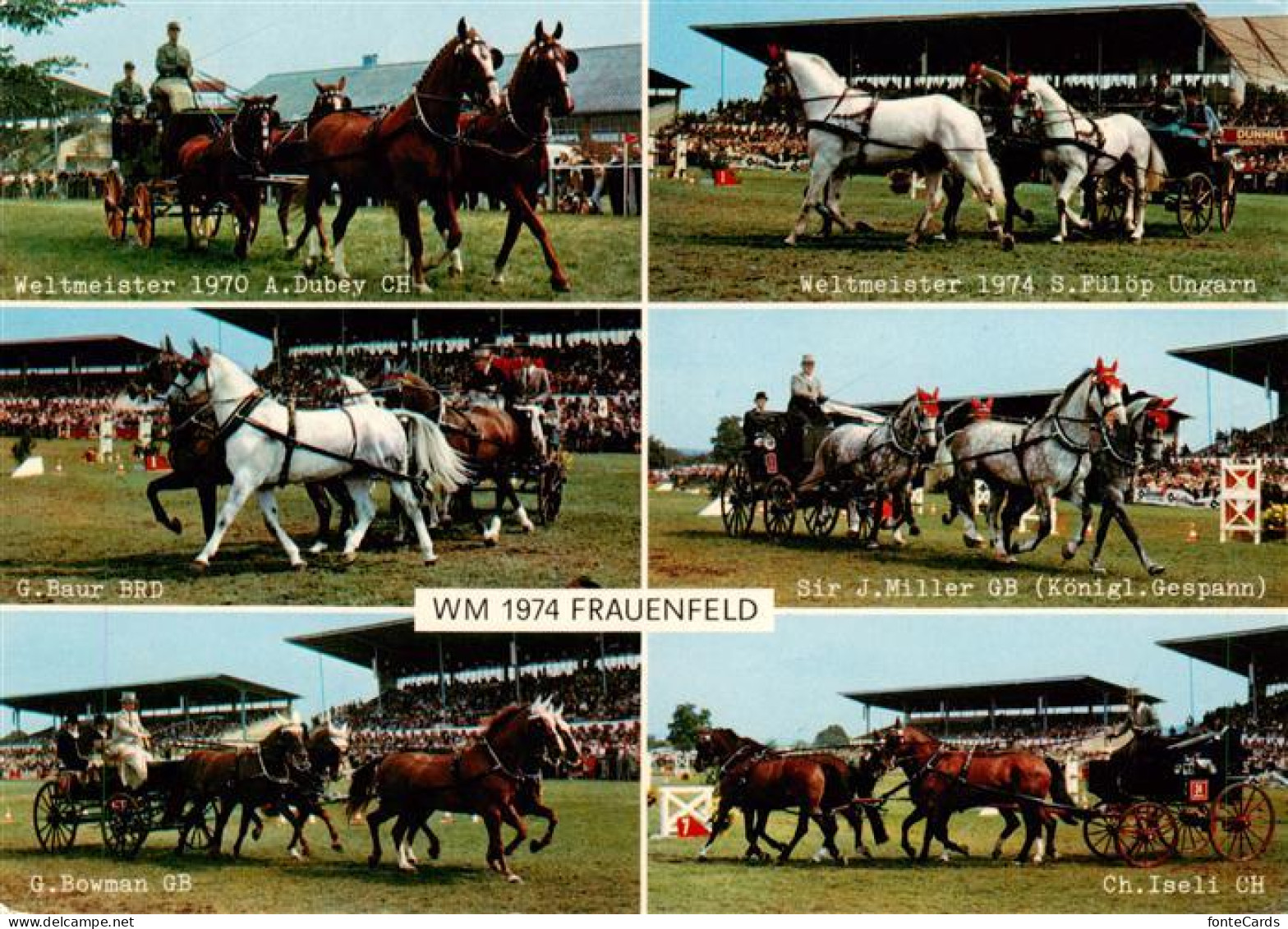 13888562 Frauenfeld TG Weltmeisterschaft Der Viererzugfahrer 1974 Teilansichten  - Autres & Non Classés