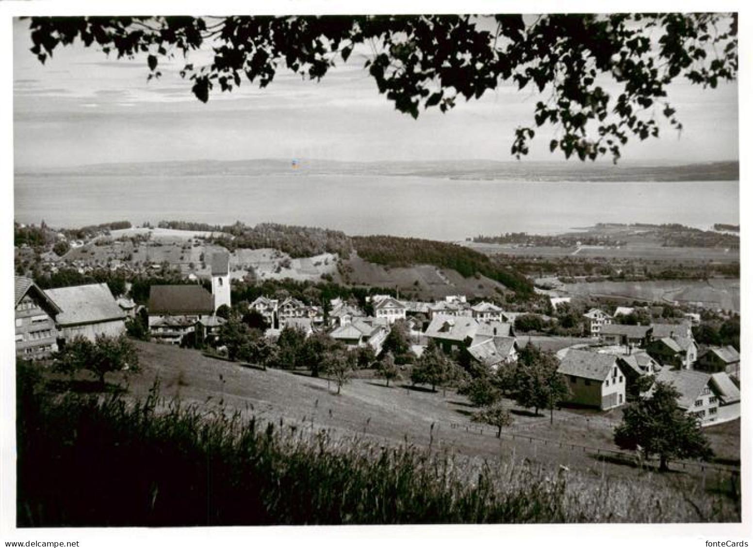 13887508 Wolfhalden AR Panorama Blick Auf Den Bodensee Wolfhalden AR - Autres & Non Classés