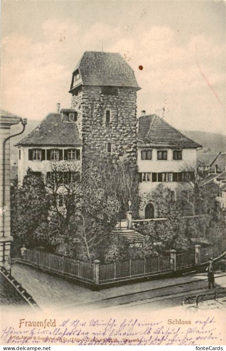 13879054 Frauenfeld TG Schloss  - Autres & Non Classés