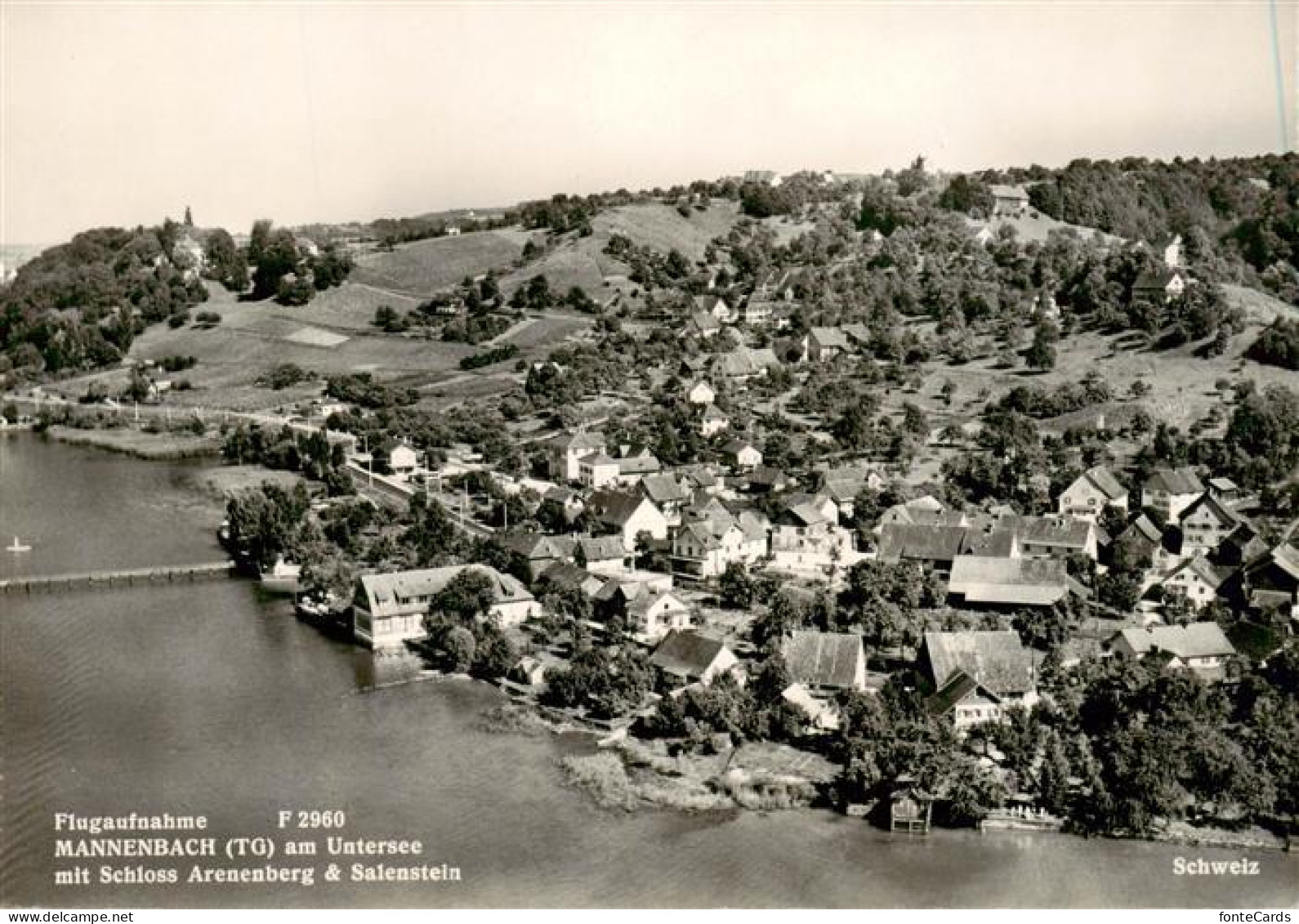 13874828 Mannenbach-Salenstein TG Am Untersee Mit Schloss Arenenberg Und Salenst - Autres & Non Classés