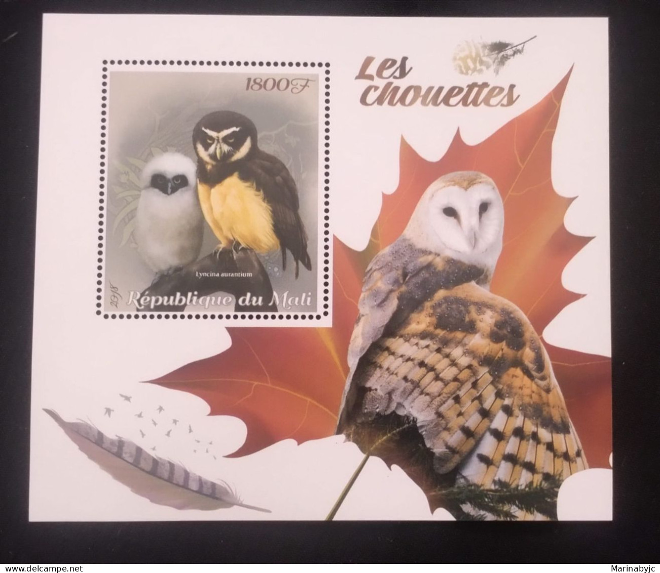 D)2018, REPUBLIC OF MALI, MINI SOUVENIR SHEET, ISSUE, BIRDS, OWLS, ORANGE LYNX, MNH - Malí (1959-...)