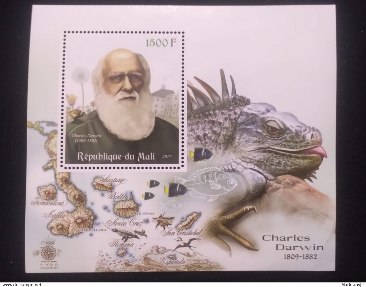 D)2017, REPUBLIC OF MALI, MINI MEMORY SHEET, ISSUE, CHARLES DARWIN, FATHER OF THE THEORY OF EVOLUTION, MNH - Malí (1959-...)