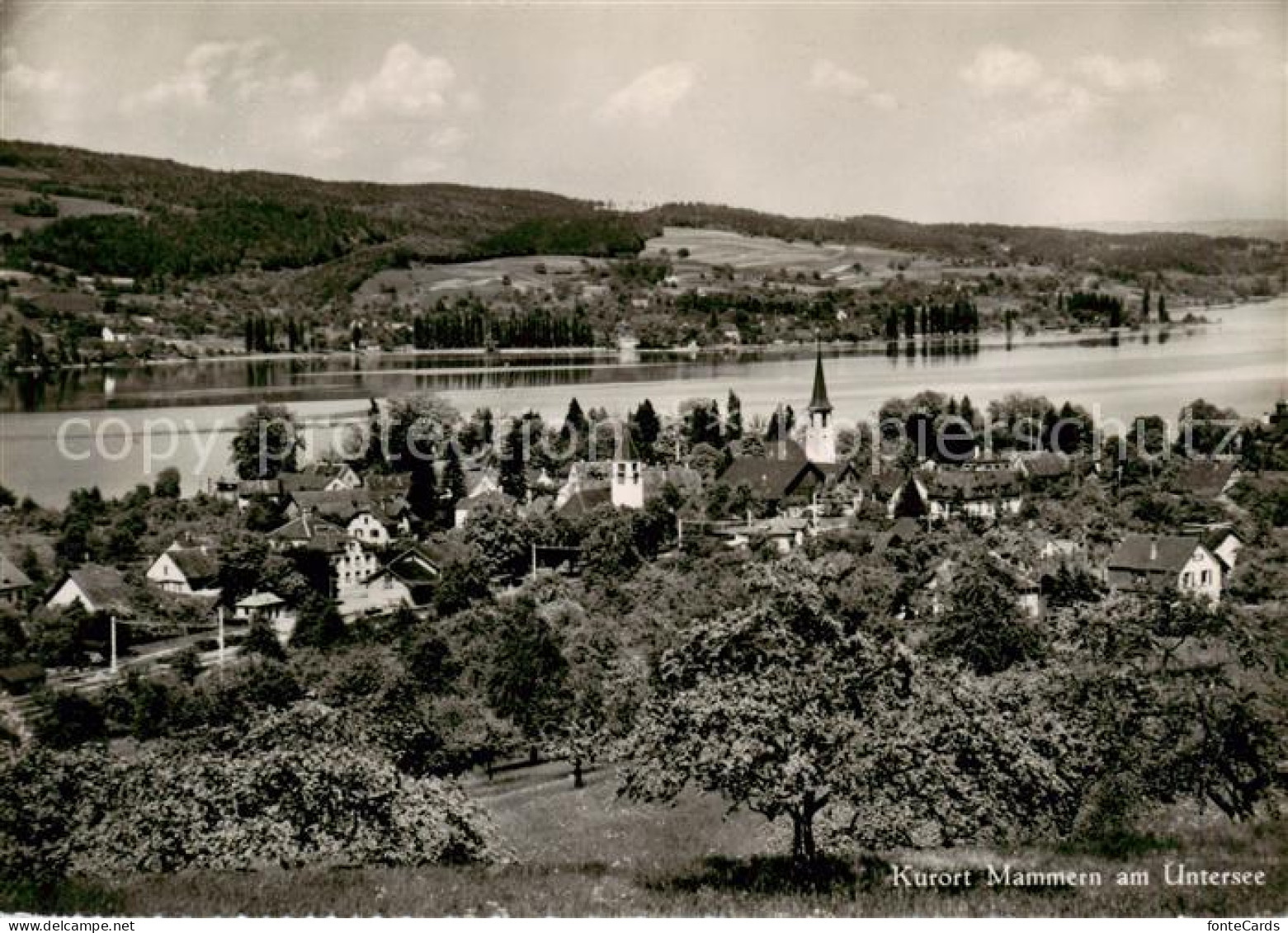 13868568 Mammern Panorama Am Untersee Mammern - Autres & Non Classés