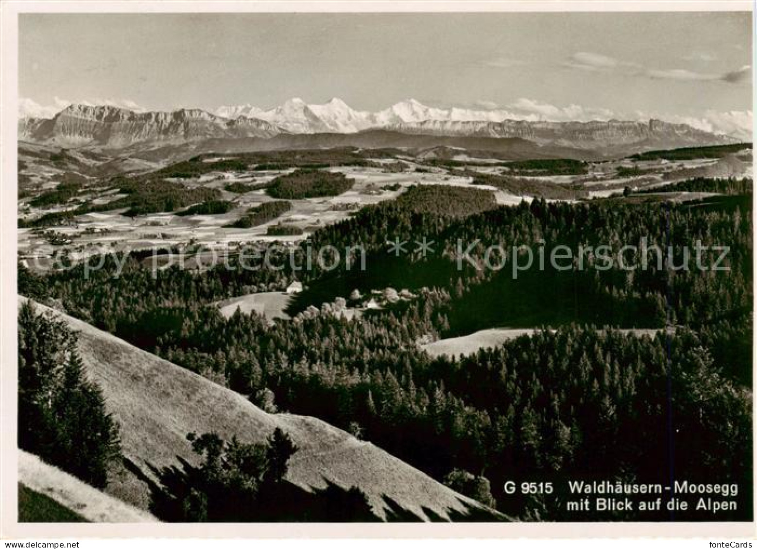 13867532 Waldhaeusern Moosegg AG Mit Blick Auf Die Alpen  - Autres & Non Classés