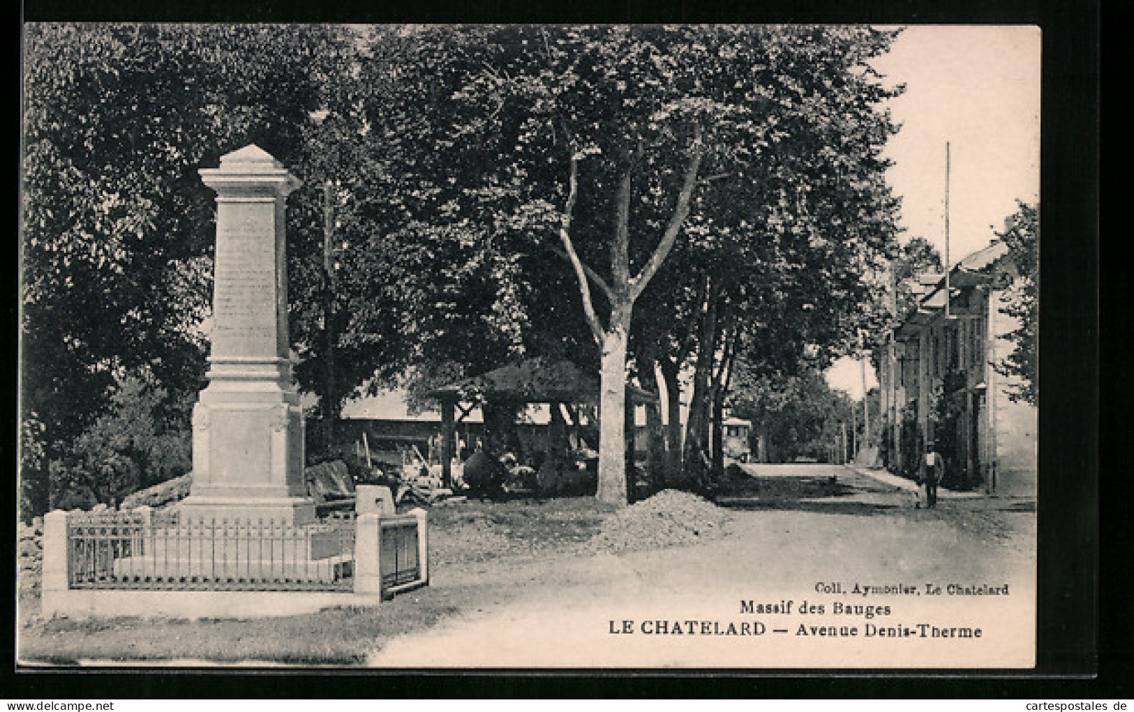 CPA Le Chatelard, Massif Des Bauges, Avenue Denis-Therme  - Le Chatelard